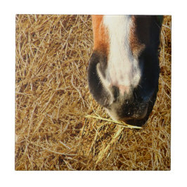 Carreau Cheval mangeant du foin