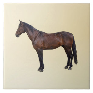 Carreau Cheval Morgan de Profil