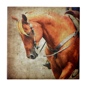 Carreau Cheval occidental