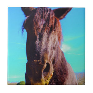 Carreau Cheval pourpre avec Bouche verte