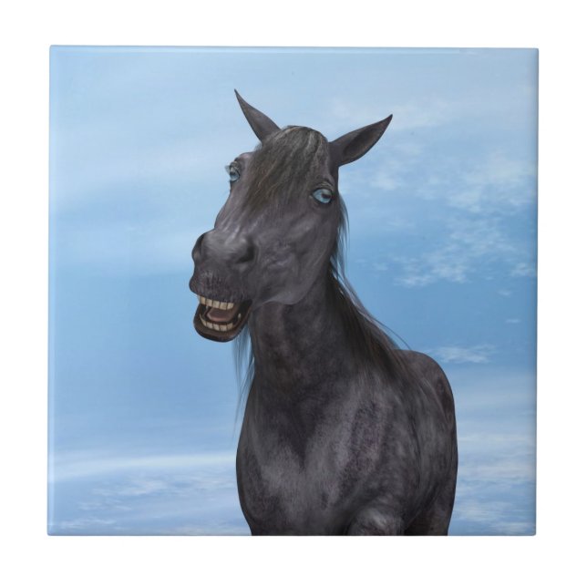 Carreau Cheval souriant (Devant)