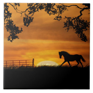 Carreau Cheval Trotting et Carrelage d'art Sunrise