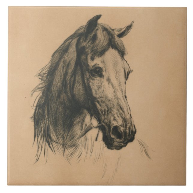 Carreau Cheval's Head (par Heywood Hardy) (Devant)