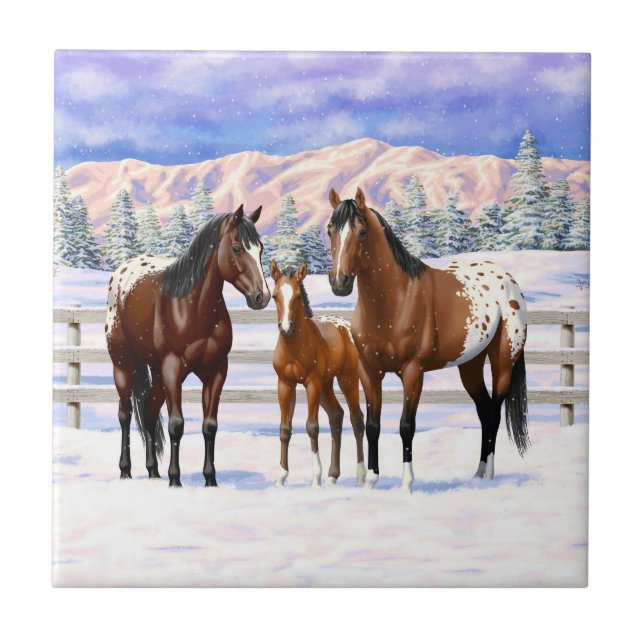 Carreau Chevaux Appaloosa De Baie Brown En Neige (Devant)