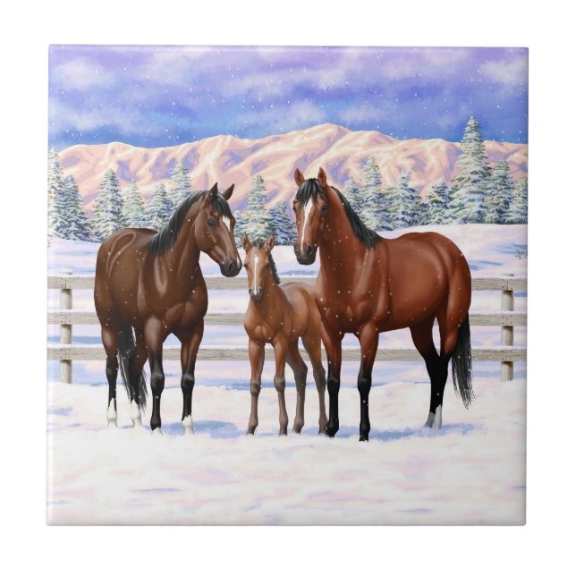 Carreau Chevaux Du Quartier De La Baie Brown En Neige (Devant)