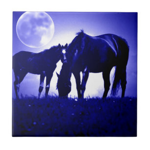 Carreau Chevaux et nuit bleue