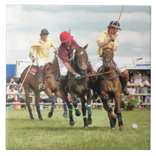 CARREAU CHEVAUX SPORTIFS