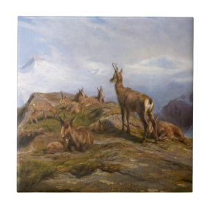 Carreau Chèvres chamois dans la chaîne de montagnes des Al