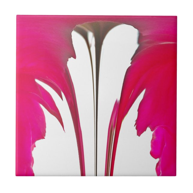 Carreau Chic rouge extraordinaire rose sous le ciel blanc (Devant)