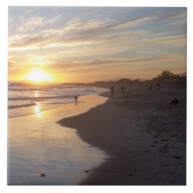 Carreau Chien à Sunset California Dreaming Tile (Devant)