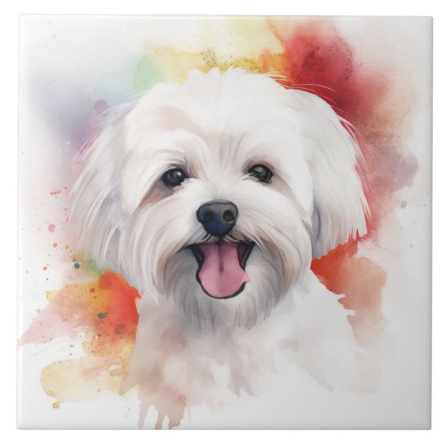 Carreau Chien blanc maltais Aquarelle (Devant)
