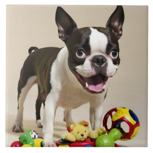 Carreau Chien de Boston Terrier jouant avec des jouets