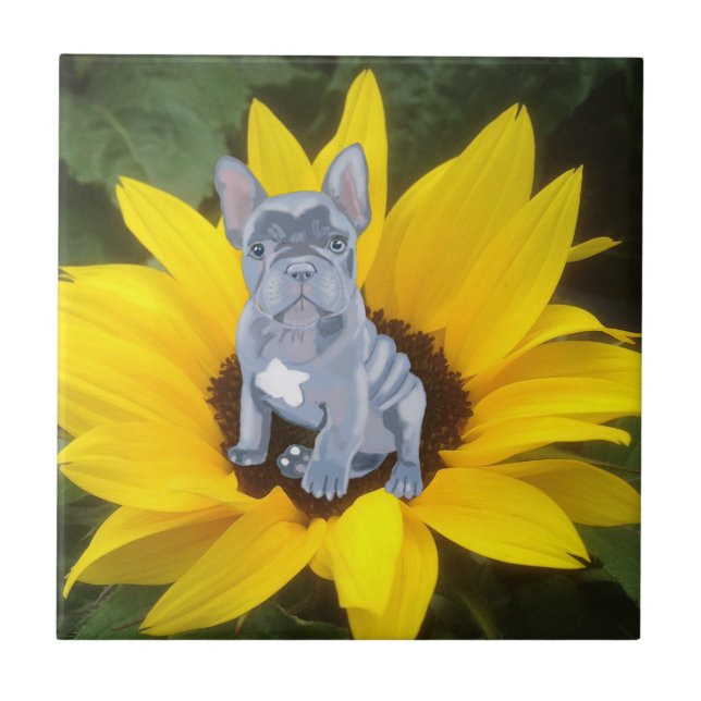 Carreau Chien de taureau bleu gris français Chien et tourn (Devant)