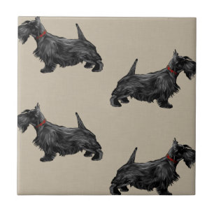 Carreau Chien écossais avec collier tatan