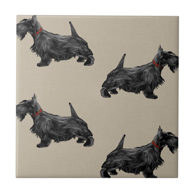 Carreau Chien écossais avec collier tatan (Devant)