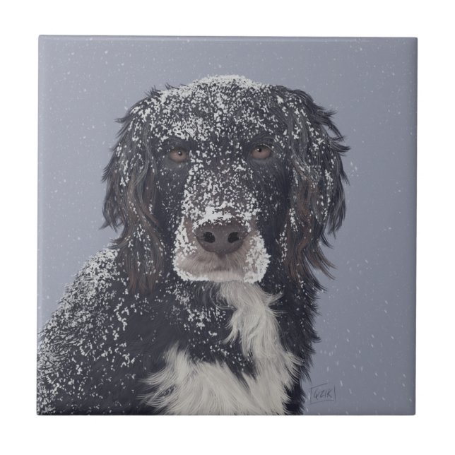 Carreau Chien espagnol mixer portrait animal de compagnie (Devant)