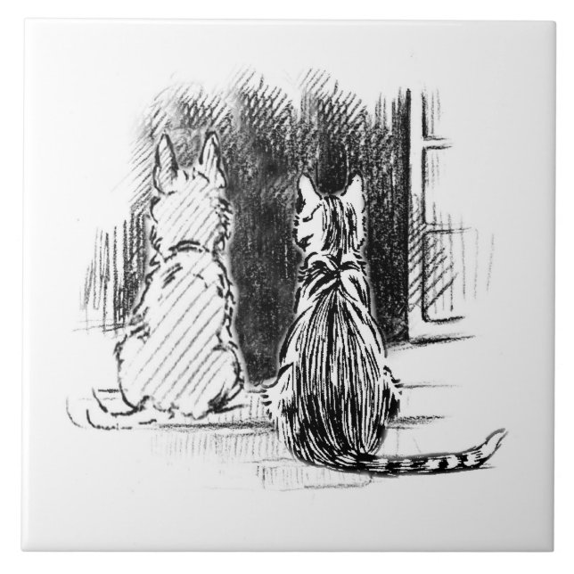 Carreau Chien et chat regardent par la fenêtre, la sympath (Devant)