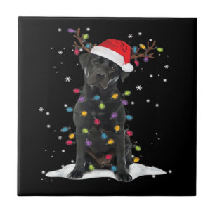 Carreau Chien Labrador noir Noël Arbre de Noël Lumière Cla
