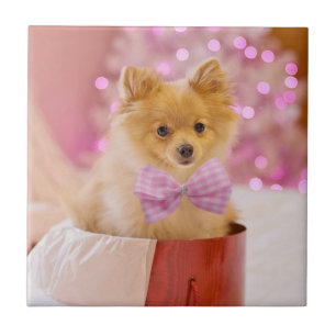 Carreau Chien mignon avec cou rose Photographie de Noël