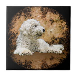 Carreau Chien Vintage de Goldendoodle