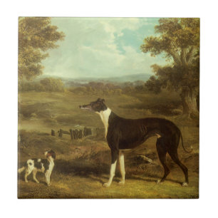 Carreau Chiens, Greyhound et Espagnol, Docteur Fop par Her