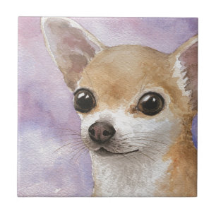 Carreau Chihuahua Chien 95