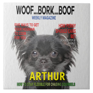 Carreau Chihuahua Parody Magazine Couvrir Carrelage cérami