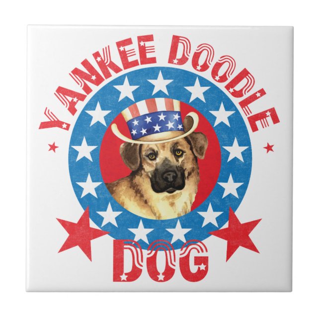 Carreau Chinook patriotique (Devant)