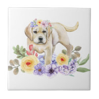Chiot de laboratoire jaune