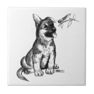 Carreau Chiots et criquet