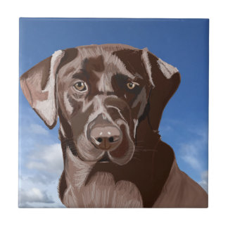 Carreau Chocolat Brown Labrador contre le ciel bleu