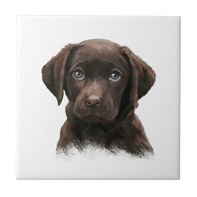 Carreau Chocolat Labrador Retriever Brown (Devant)