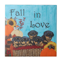 Chute en amour Rottweiler Imprimer