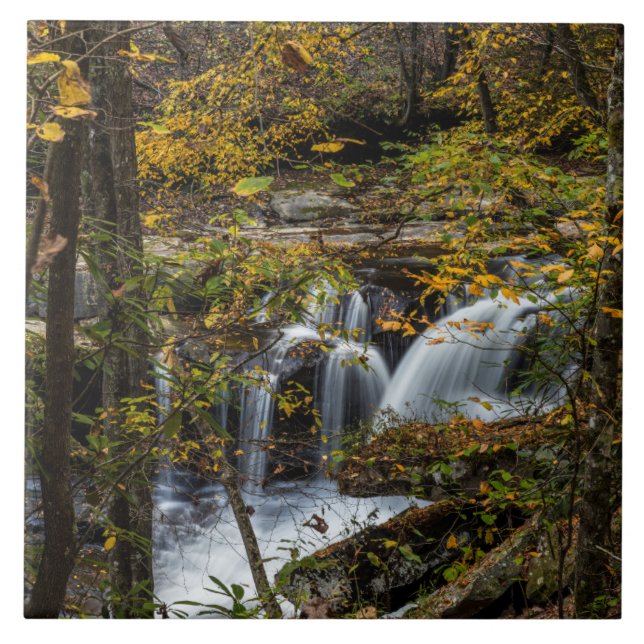 Carreau Chutes du ruisseau Dunloup | Virginie occidentale (Devant)