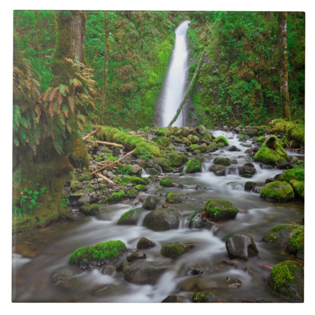 Carreau Chutes du ruisseau Ruckel, Columbia River Gorge Or (Devant)