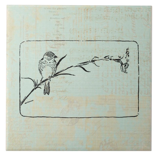 Carreau Classic Finch Oiseau Art Vintage (Devant)