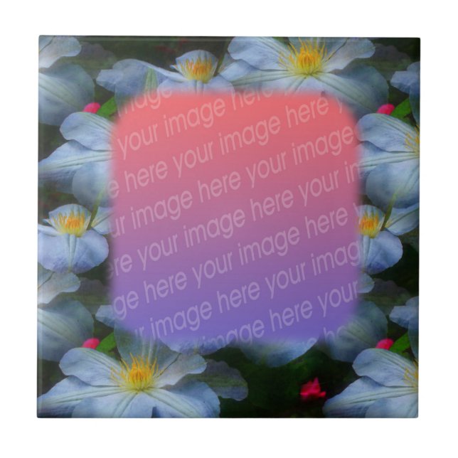 Carreau Clematis Blanc Fleurs Votre Carrelage Photo (Devant)