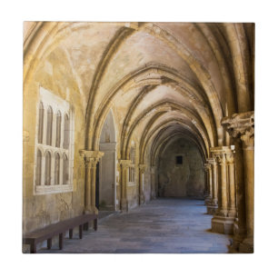 Carreau Cloître de la cathédrale en arc
