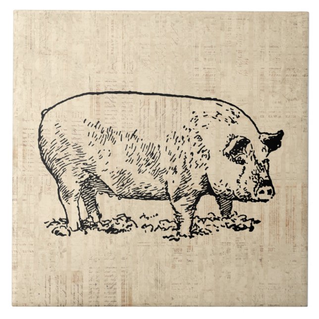 Carreau Cochon illustré avec Arrière - plan de script Vint (Devant)