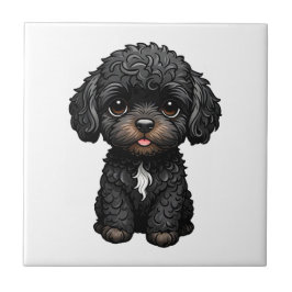 Carreau Cockapoo noir