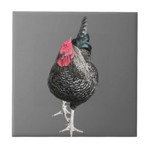 Carreau Cockerel Black Strutt No 3