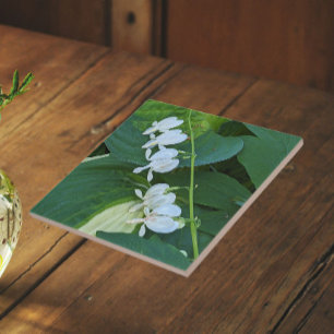 Carreau Cœur saignant blanc floral