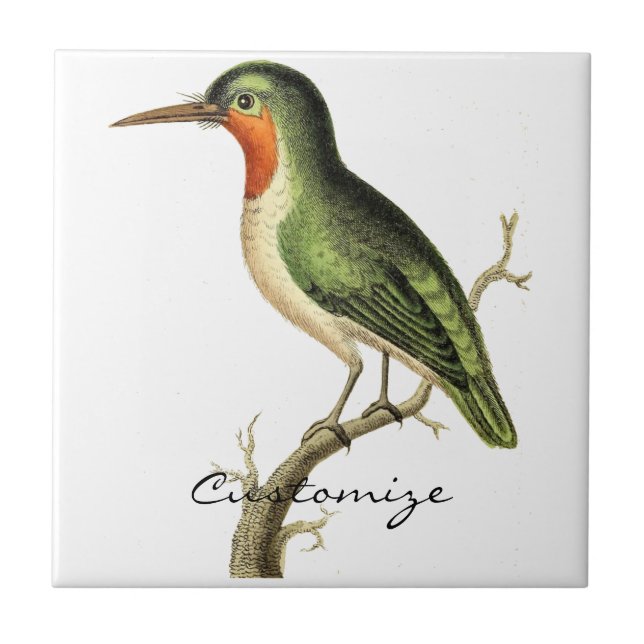 Carreau Colibri Perched Thunder_Cove (Devant)