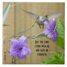 Colibri se nourrit de Fleur avec Verset d'écriture