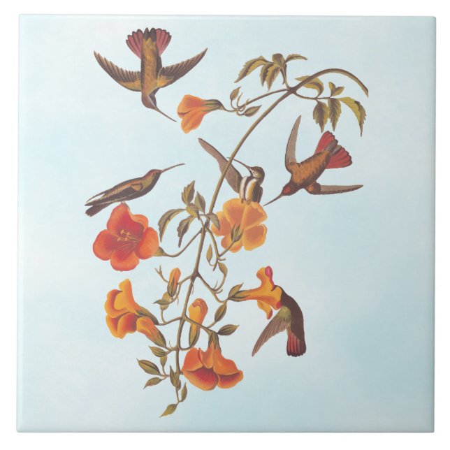 Carreau Colibris de la mangrove aux fleurs de trompette or (Devant)