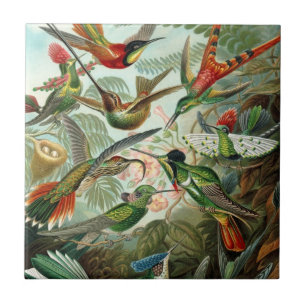 Carreau Colibris par Ernst Haeckel, Oiseaux Arbres Vintage