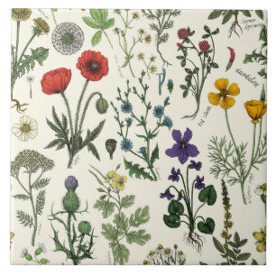 Carreau Collage de fleurs sauvages