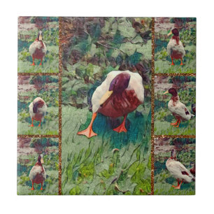 Carreau Collage photo Bored Duck, Carrelage en céramique