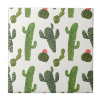 Collection Llamarama | Cactus mignons