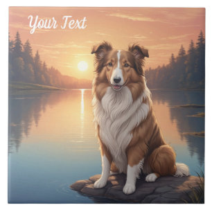 Carreau Collie standard par lac